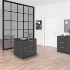 Regency Legacy Stand Up Back to Back Lateral File/Desk- Ash Grey