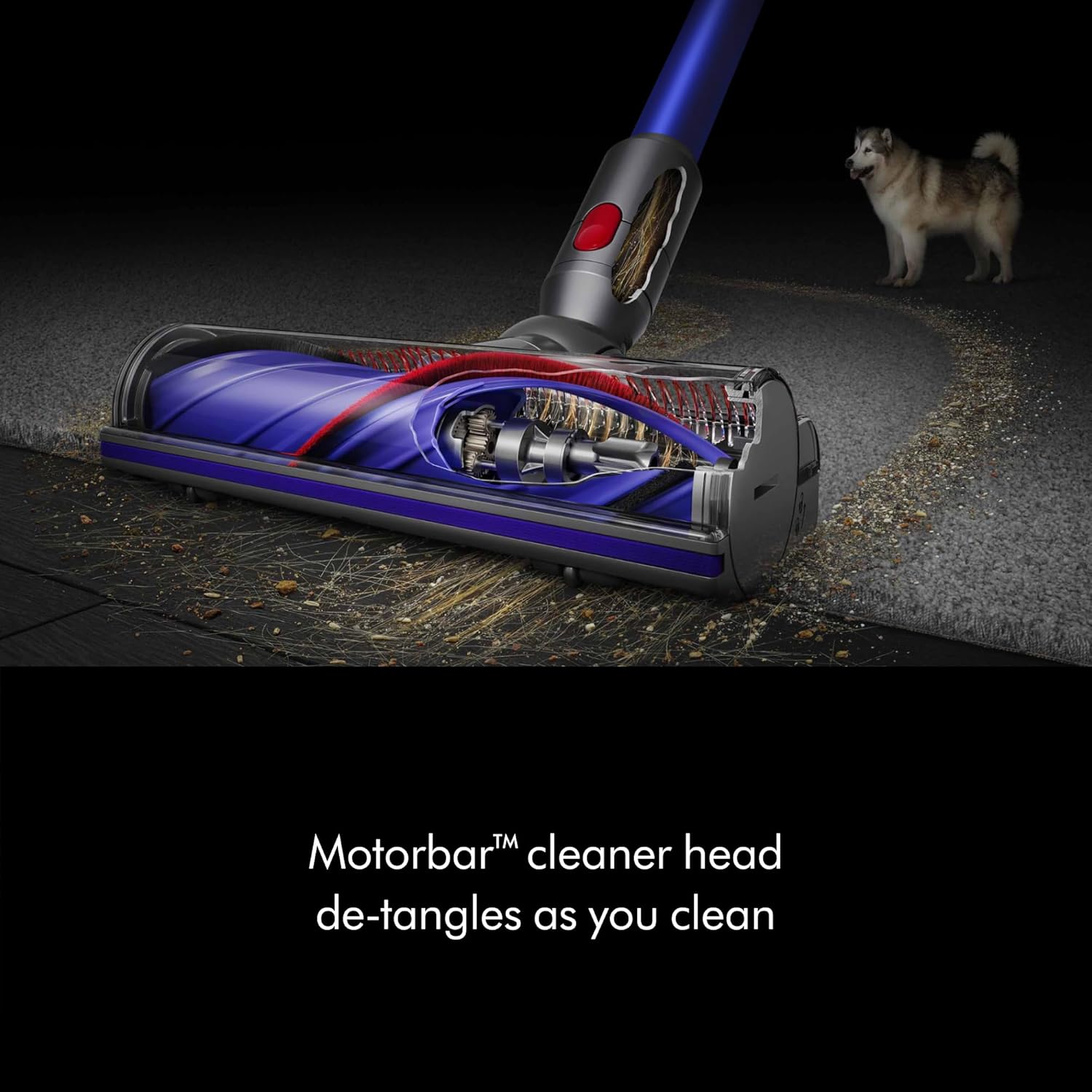 Dyson V11 Cordless Stick Vacuum, Large, Nickel/Blue