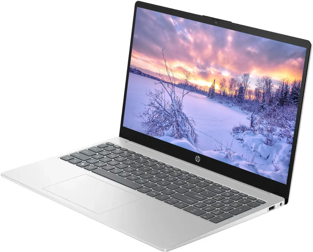 HP 15.6" Touchscreen Laptop  64GB RAM 2.5TB Storage (2TB SSD+512GB Docking Station Set)  6-Cores Intel Core i3  Windows 11  PLUSERA Earphones  Silver