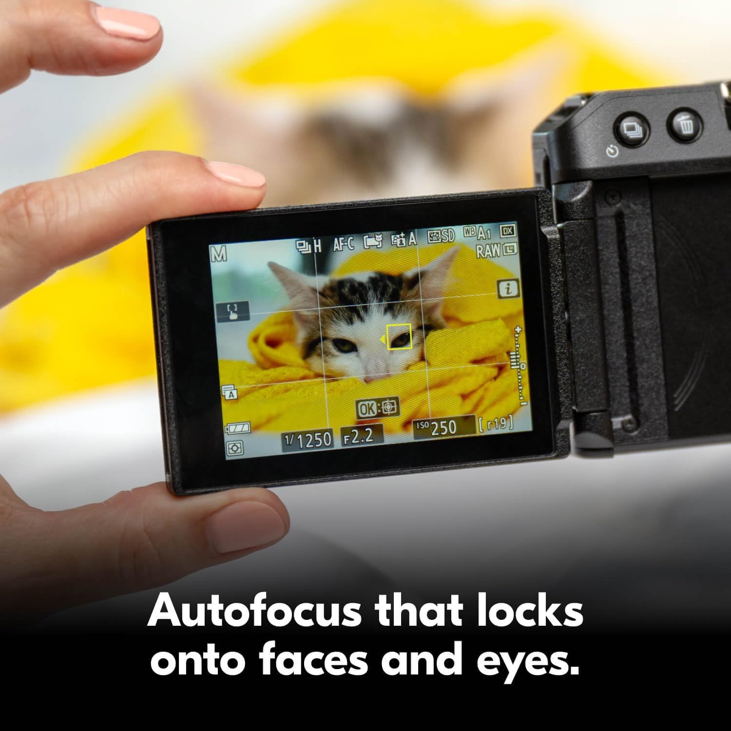 Nikon Z 30 with Wide-Angle Zoom Lens | Our most compact  lightweight mirrorless stills/video camera with 16-50mm zoom lens | Nikon USA Model