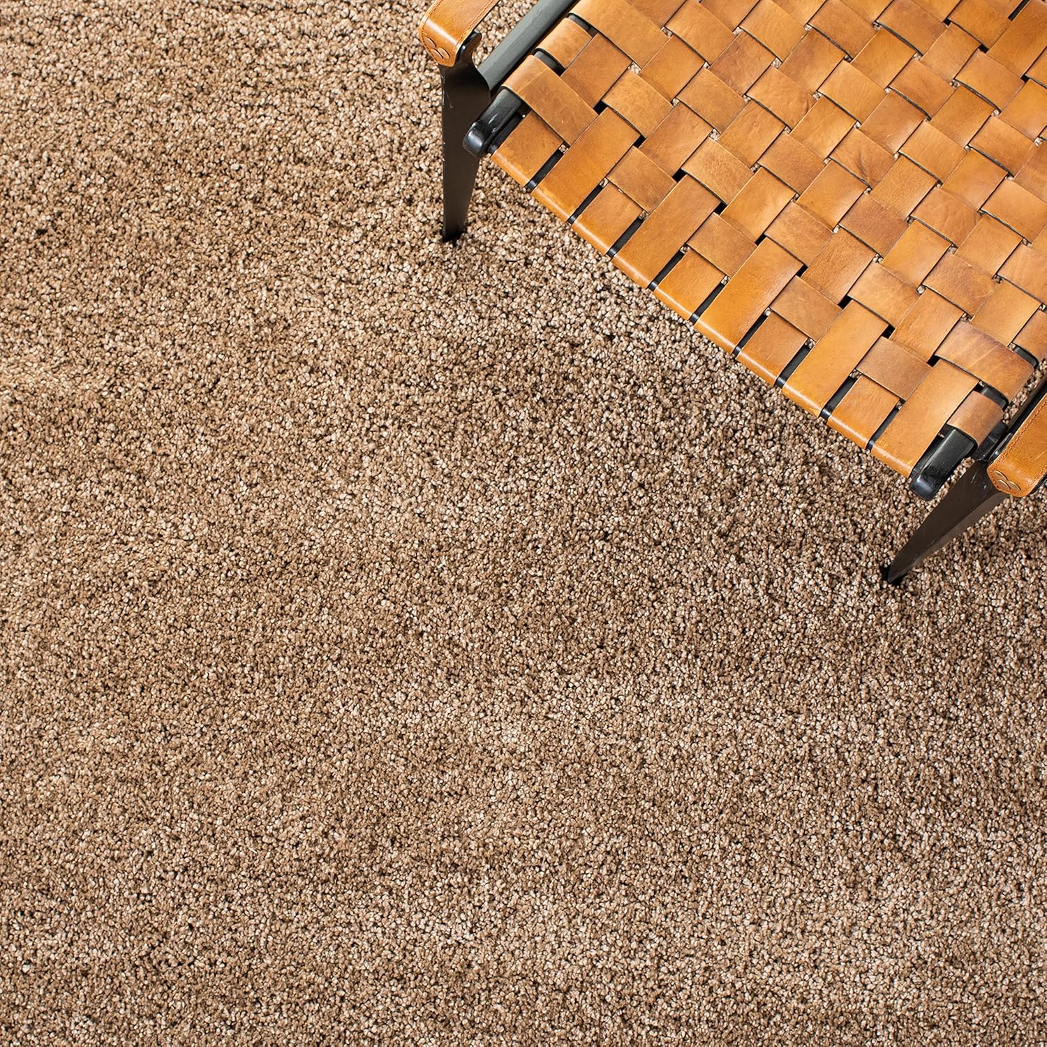SAFAVIEH Milan Shag Collection Area Rug - 6' x 9', Dark Beige, Solid Design, Non-Shedding & Easy to Clean, Plush Thick Pile, Ideal for Living Room, Bedroom (SG180-1414)