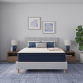 NapQueen Queen Size, 12 Inch NEW Victoria Hybrid Cooling Gel Infused Pocket Spring and Memory Foam Mattress, Bed in a Box, CertiPUR-US Certified