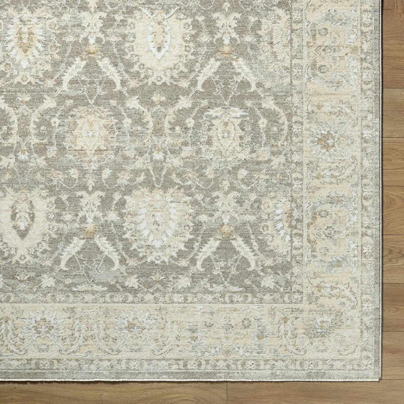 Hauteloom Bellington Living Room, Bedroom Area Rug - Neutral Traditional Bohemian Bordered - Gray, Cream, Beige, Brown - 7'10" x 10'2"